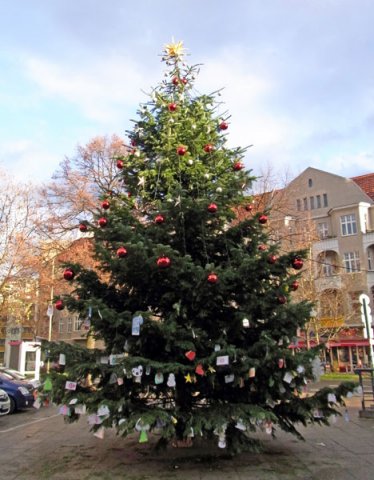 Weihnachtsbaum 2009