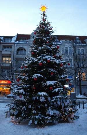 Weihnachtsbaum 2010