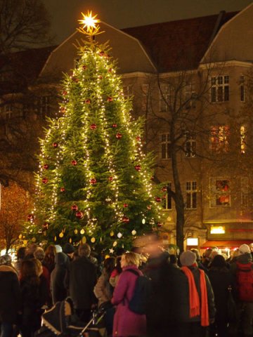 Weihnachtsbaum 2011