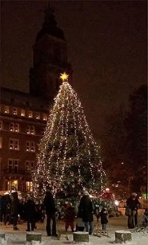 Weihnachtsbaum 2012
